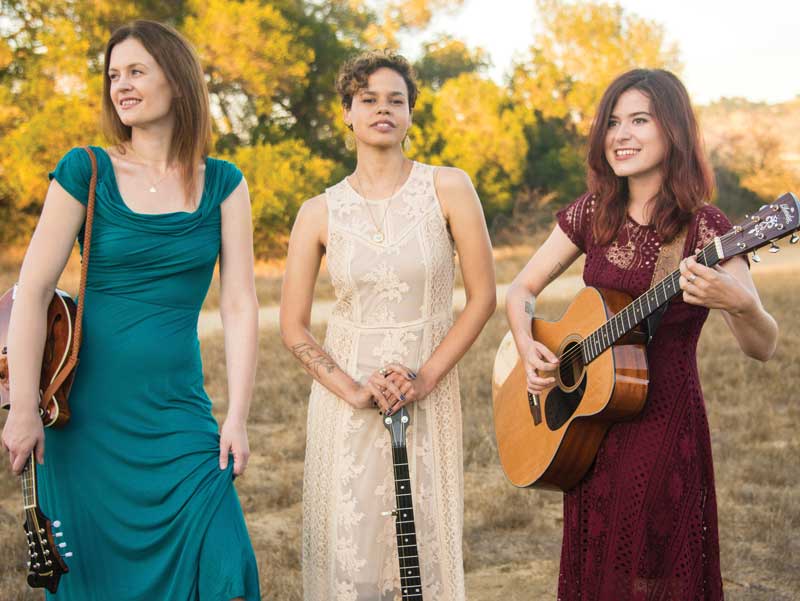 Honey Whiskey Trio 5